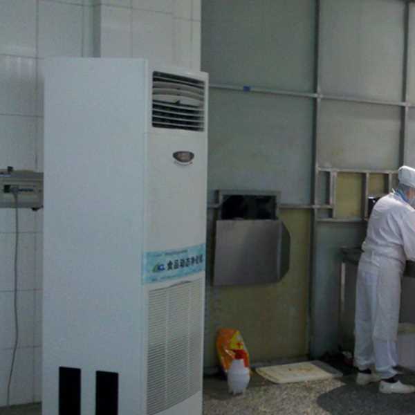 滨州食品正负离子空气杀菌器